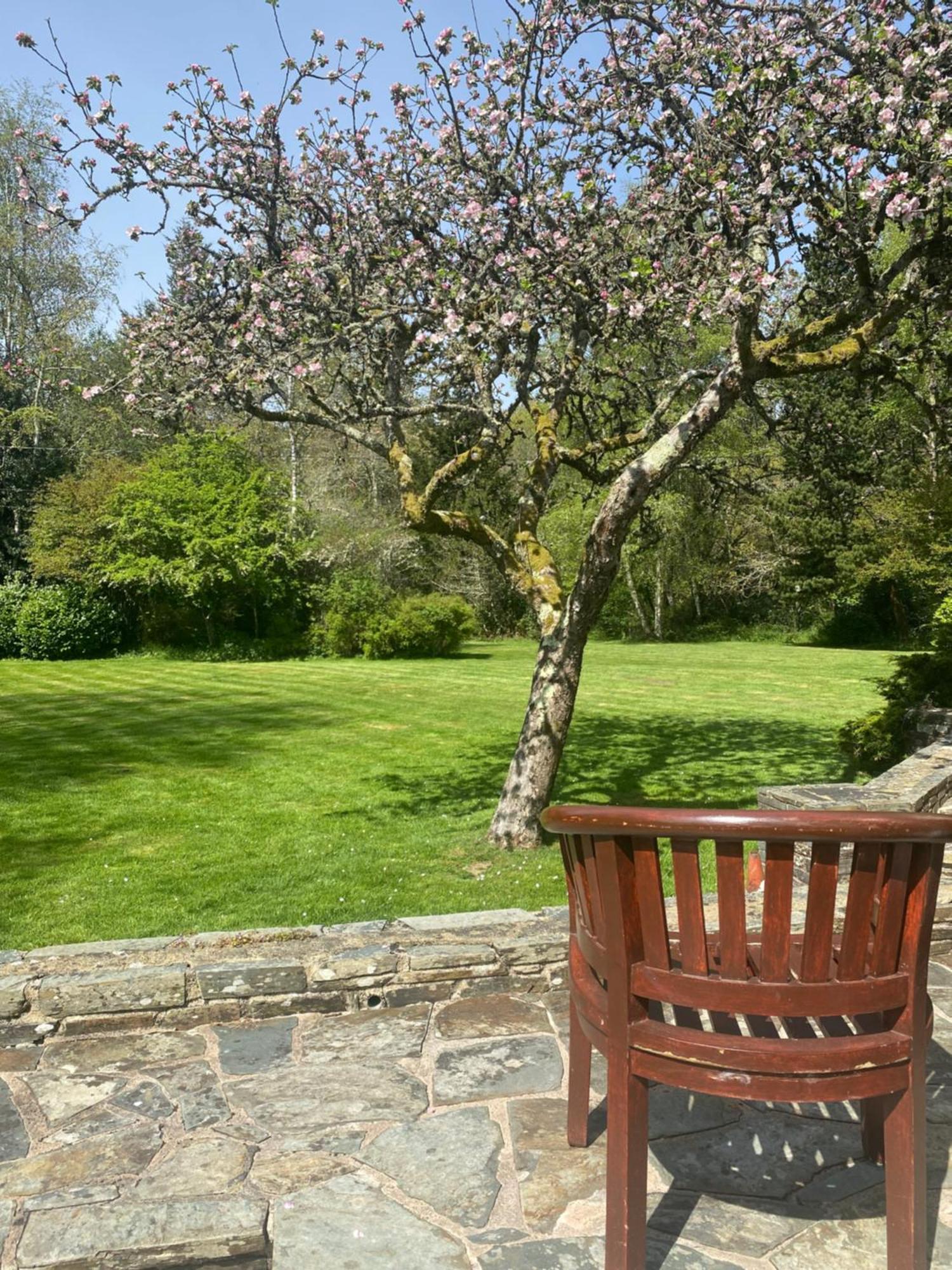 Mill End Hotel Chagford Exteriör bild
